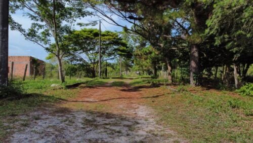 bd25d29b-e58f-443c-9d4b-a8c3e7d5a227