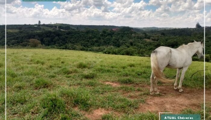 residencial iguatemi 4 d