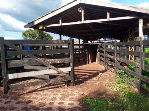 WhatsApp Image 2021-03-24 at 18.37.00(1)