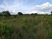 WhatsApp Image 2021-03-24 at 18.37.00(14)