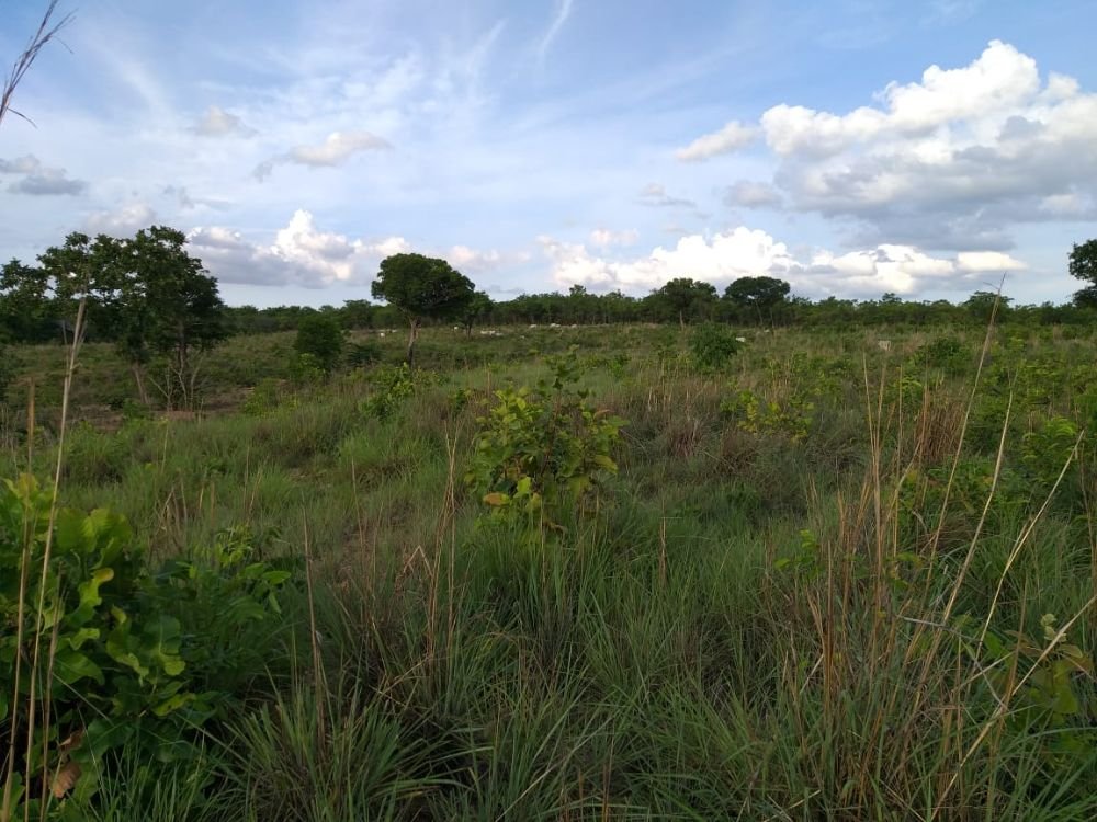 WhatsApp Image 2021-03-24 at 18.37.00(14)