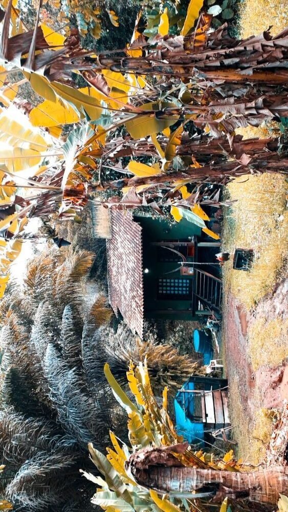 IMG_20200806_125407_185