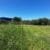 20210310_113121 (1)