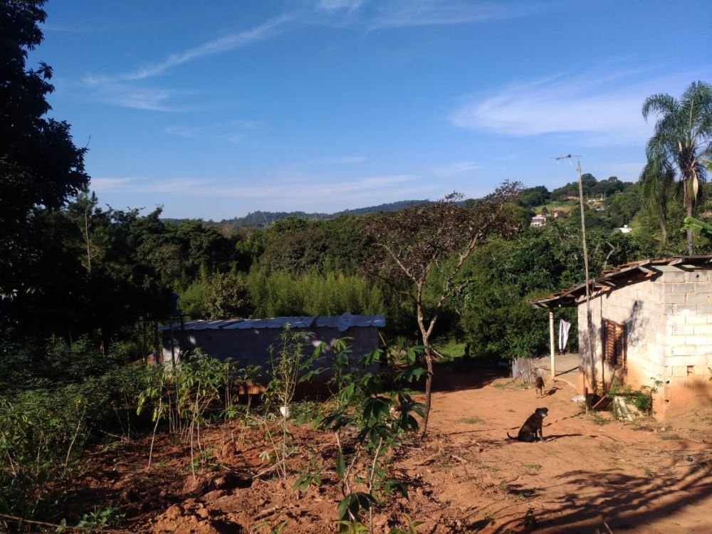 WhatsApp Image 2021-05-09 at 17.48.47