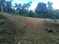 terreno foto 01