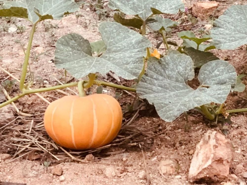 1b9e2447-57af-4da3-800b-8e2ef787cd3a