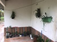 1bf2eeb6-1653-4246-86bb-d883eced8799