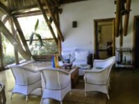 5ecf44f1013240b2b43c_g