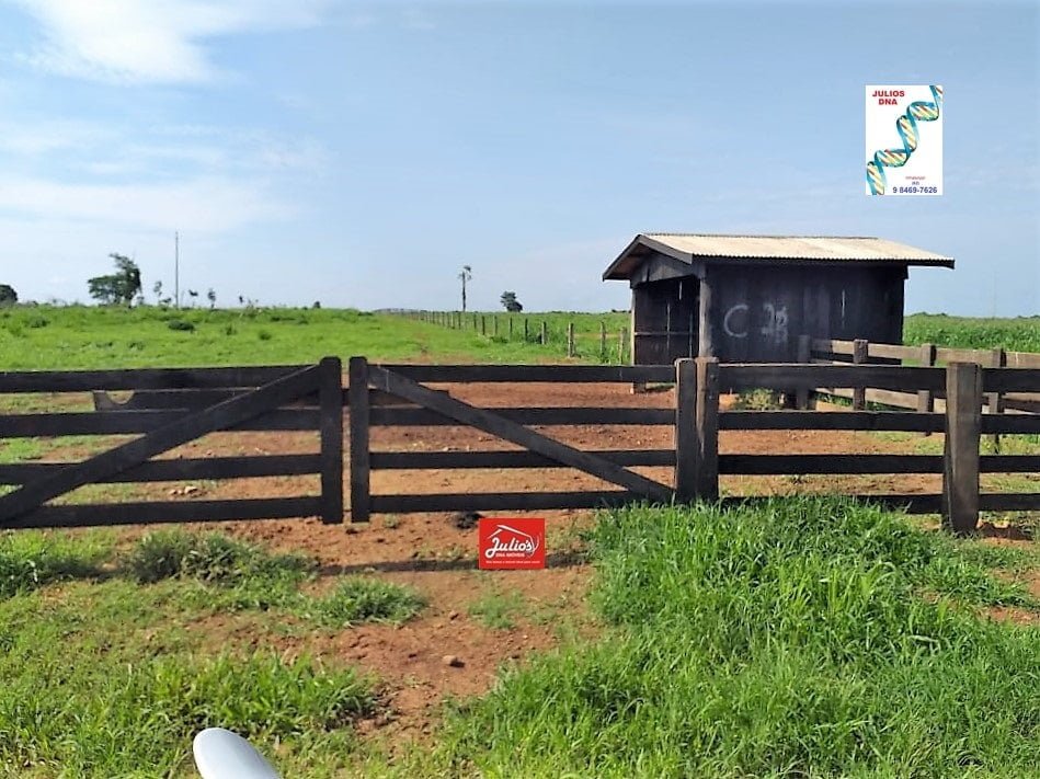 julios-faz. alt. f.mt-0003