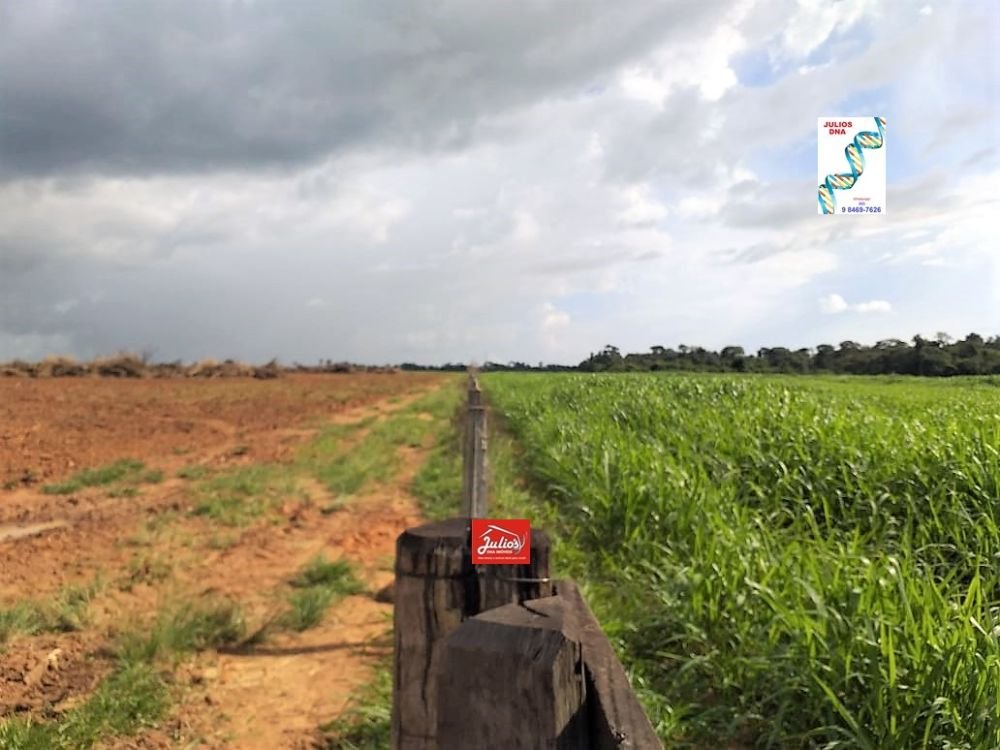 julios-faz. alt. f.mt-00010