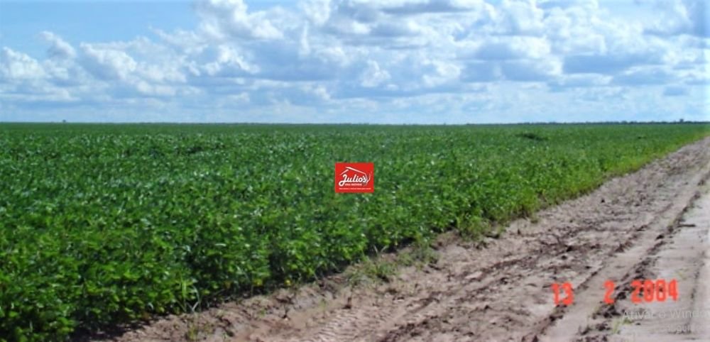 juliosdnai-faz. jaborand-0002