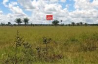 juliosdnai-faz.mt-0002