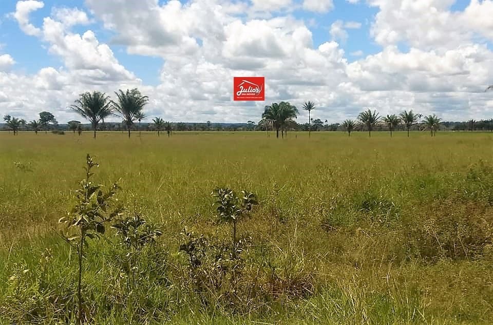 juliosdnai-faz.mt-0002