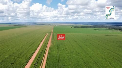 juliosdnai- FAZ. B. DO G-MT-001