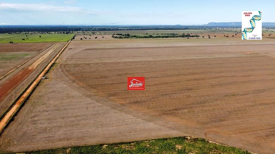 juliosdnai- FAZ. B. DO G-MT-008