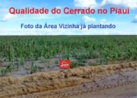 juliosdnai-Area-PI-0009a