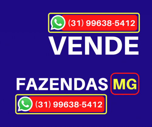 20210823_221325_0000