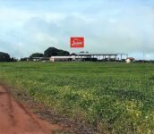 juliosDnaI- faz. N. Xav..0004