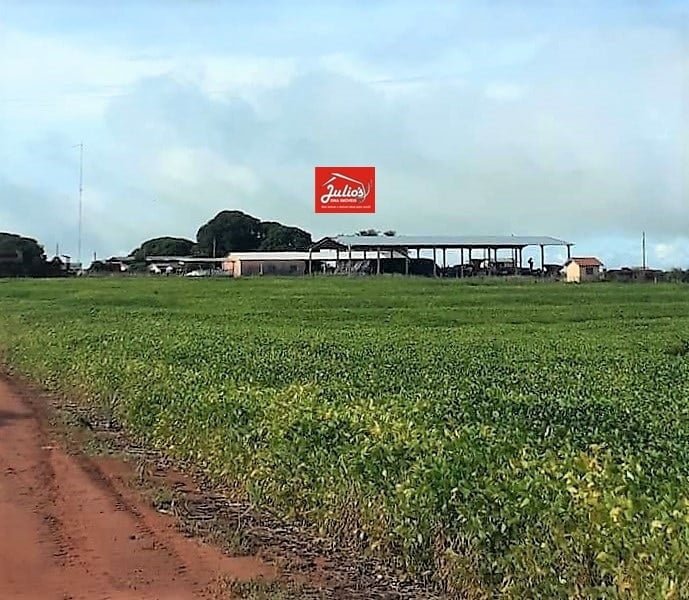 juliosDnaI- faz. N. Xav..0004