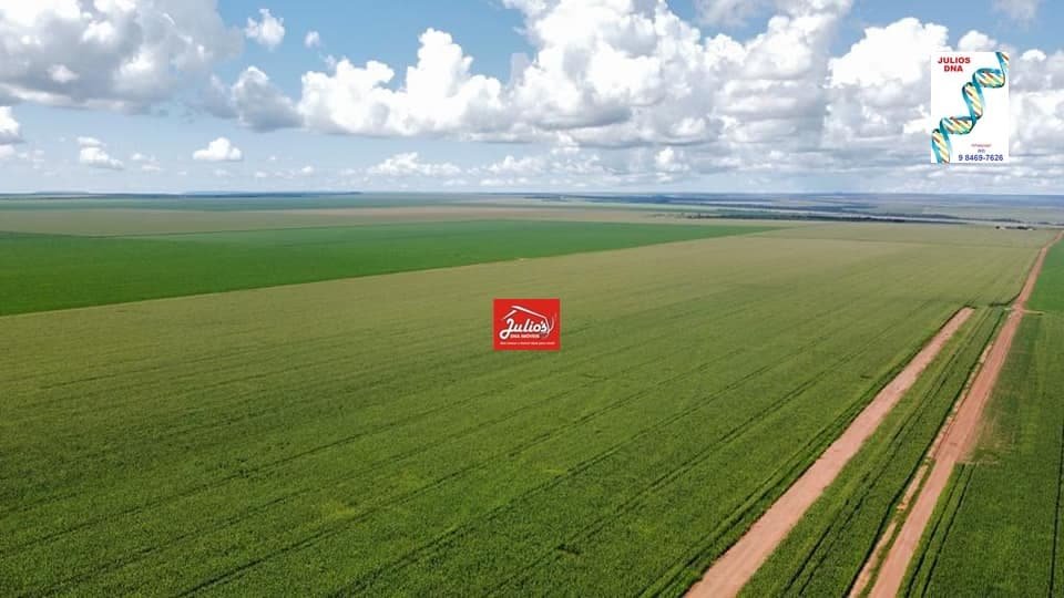 juliosdnai- FAZ. B. DO G-MT-0011