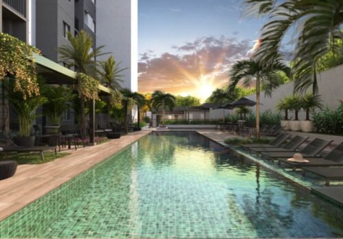 living Wish Norte 01