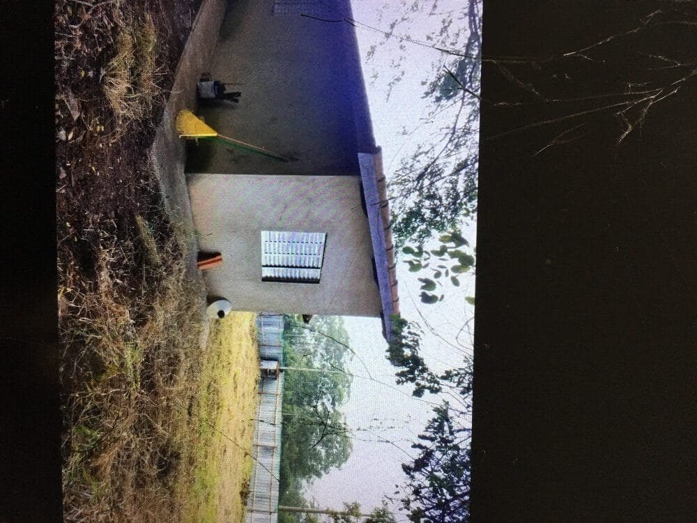 382F3851-5D5C-4E60-A5FF-E3E1D686CA95