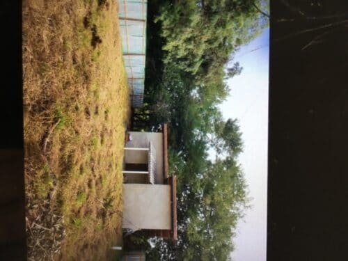 8EA423CB-D003-41EA-BB36-FCE6BCEA97CF