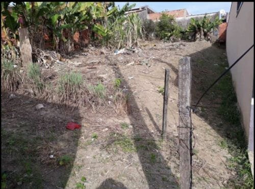 FEC30303-B747-4E11-8752-2D4363A81E84