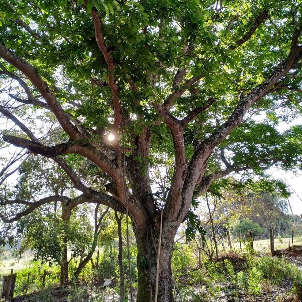 WhatsApp Image 2021-10-06 at 09.59.00