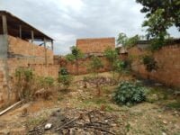 WhatsApp Image 2021-10-17 at 22.36.01