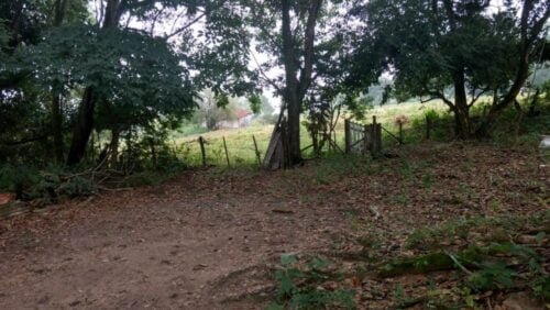 WhatsApp Image 2021-10-06 at 09.59.04