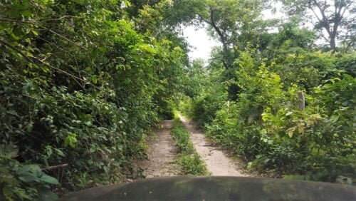 7f6ba1e4-d57b-43fb-9cac-b19093d76524