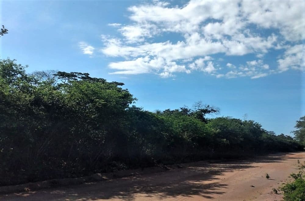 a9835799-3291-4be2-a6fd-5f8f9da7a21f