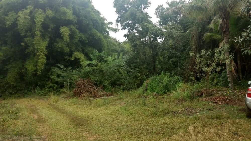 WhatsApp Image 2021-10-06 at 09.59.02