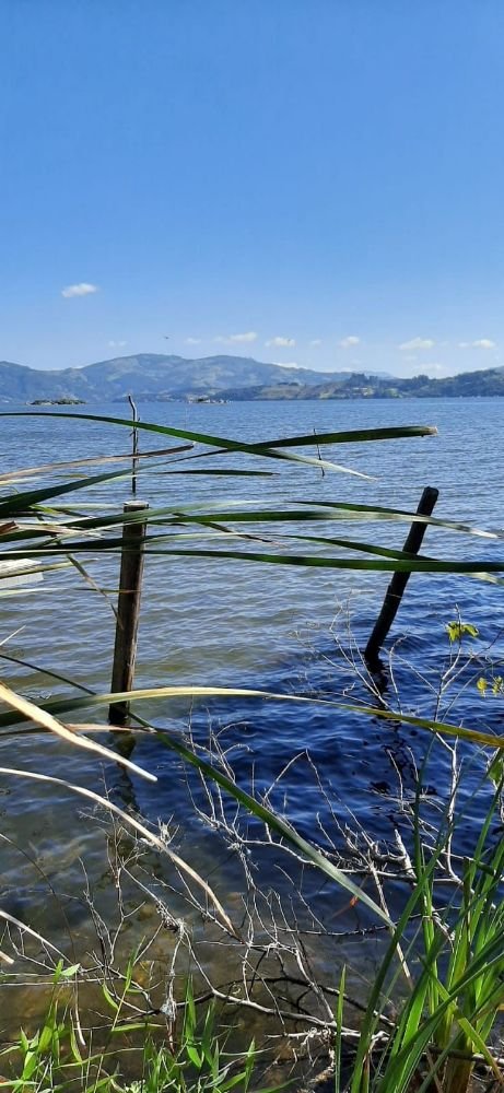 WhatsApp Image 2021-11-25 at 12.02.47