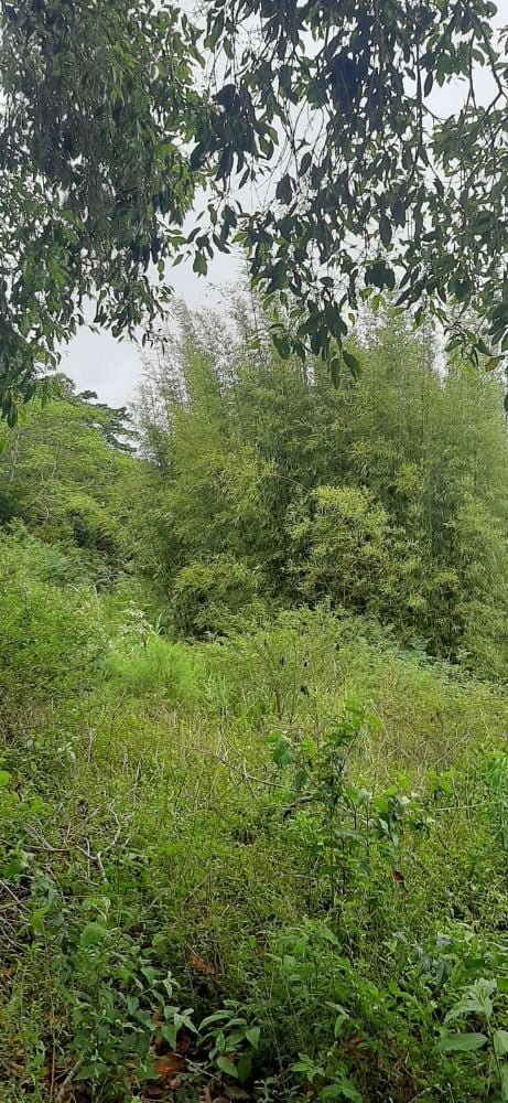 WhatsApp Image 2021-11-25 at 12.02.45