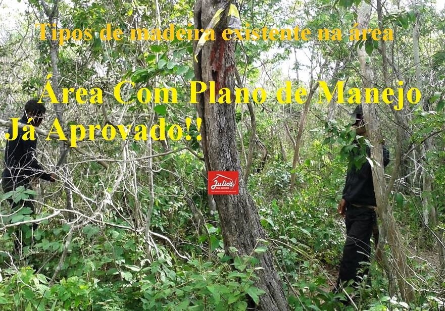 juliosdna-Area-PI-004