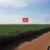 juliosdnaimoveis-Faz.Cana.e.Soja-SP-0008