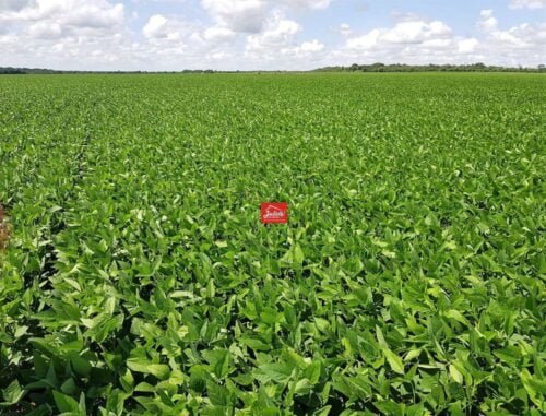 juliosdnaimoveis-Faz.porto A. Nt-mt-0001