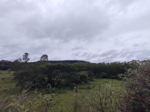 IMG_20220129_144230281_MP