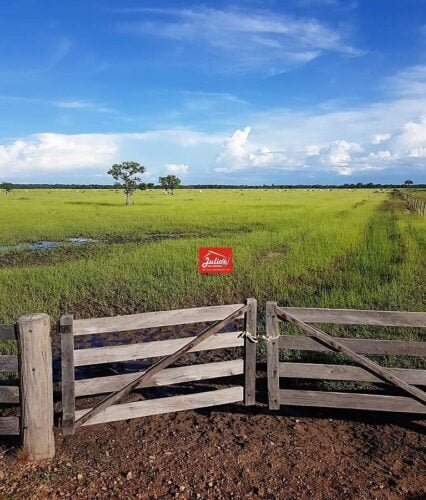 juliosdnaimoveis- Faz. em Cocalinho-MT-0001