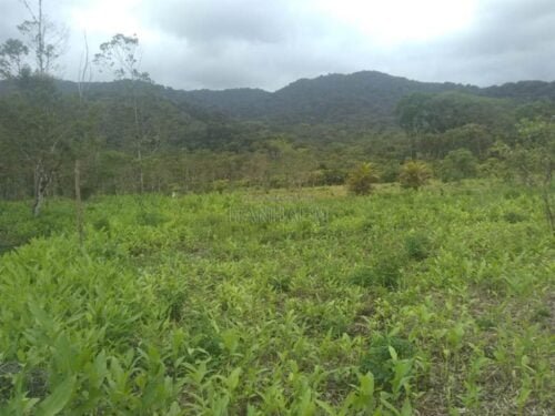 147BFBBE BC7B 47CD 9098 14BA7B96B499