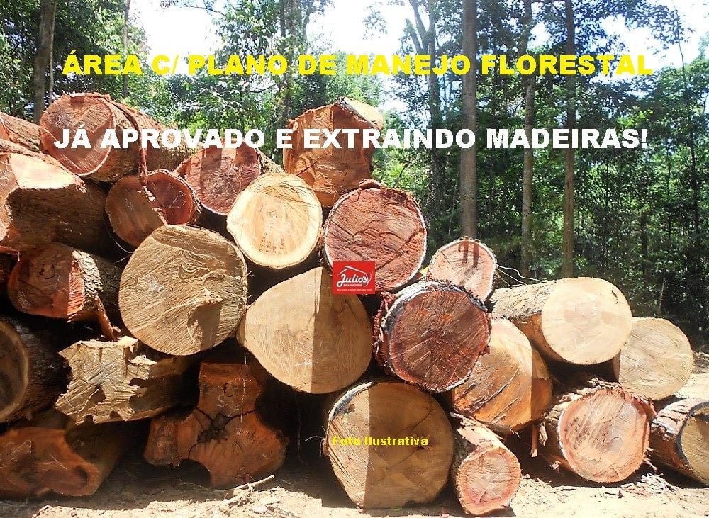 jdi-plano manejo f.-00021'