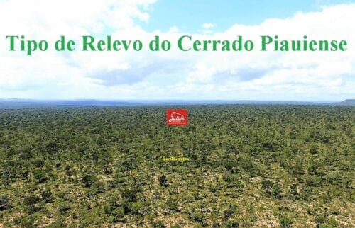 juliosdna-Area-PI-0002