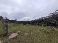 IMG_20220129_143943539_MP