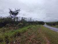 IMG_20220129_144111309_MP