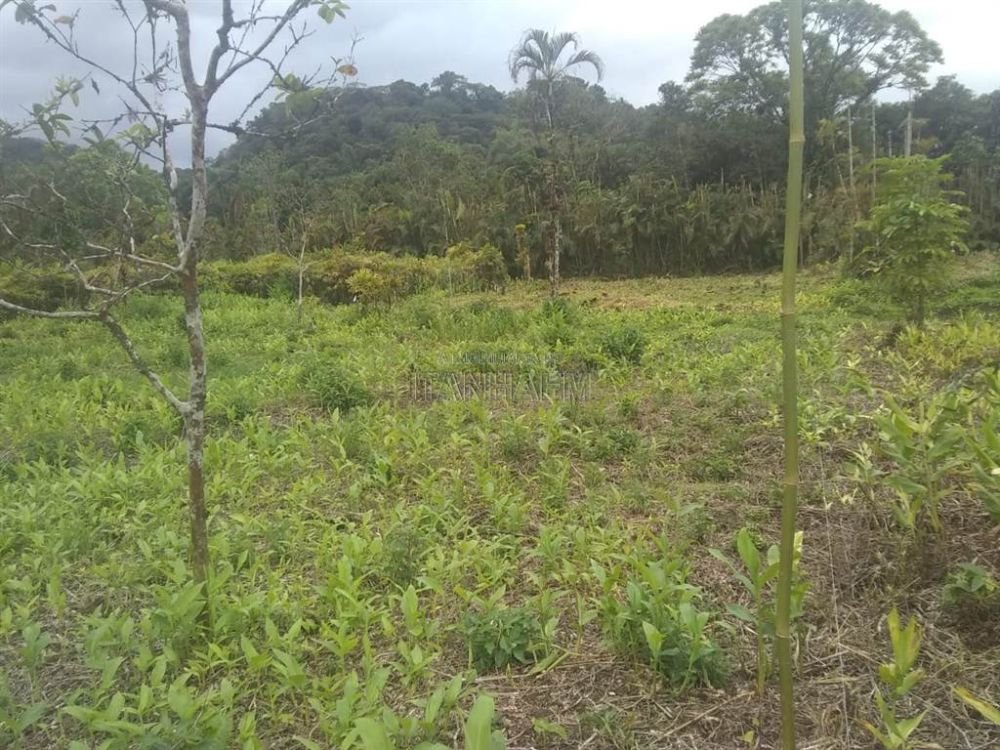 DC02ECD5 CA7F 4E4A A22A 566D21ABCE76