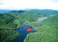 juliodnai-faz.pinus-SP-0003