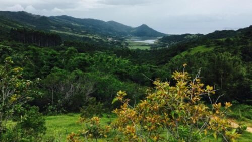 WhatsApp Image 2022-02-06 at 19.46.10 (9)