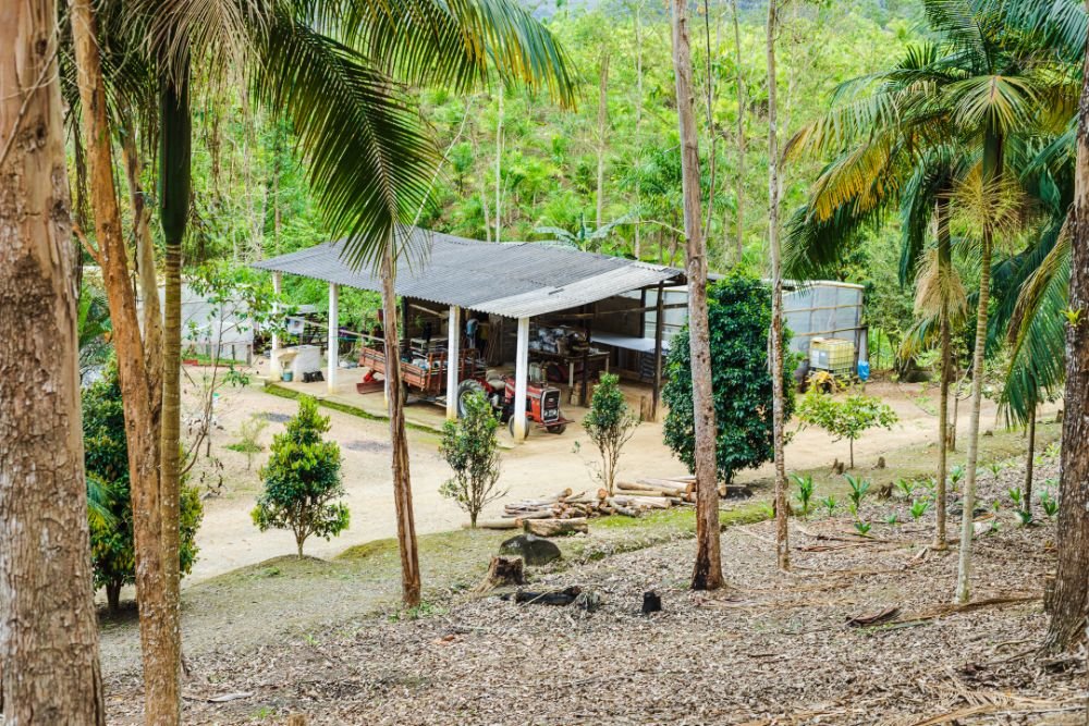 p sitio dona regina galpao casa empregado estufas